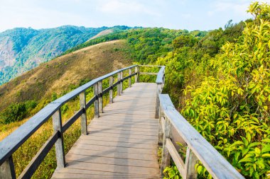 Kew Mae Pan 'ın Doi Inthanon Doğal Parkı, Tayland Bakış Alanı