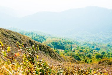 Kew Mae Pan görünümü Doi Inthanon Tabiat Parkı, Tayland