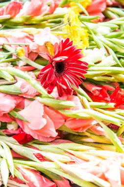 Tapmak için çiçekler, Tayland