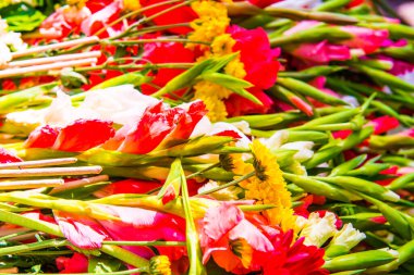 Tapmak için çiçekler, Tayland