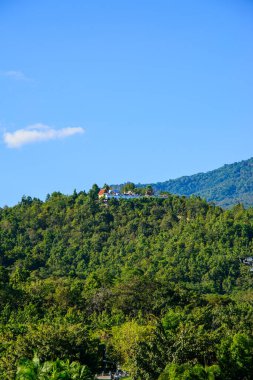 Chiang Mai ilindeki Royal Flora Ratchaphruek Park 'ın manzarası, Tayland.
