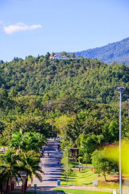 Chiang Mai ilindeki Royal Flora Ratchaphruek Park 'ın manzarası, Tayland.