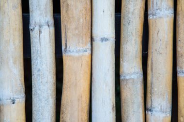 Bambu duvar arkaplanı, Tayland