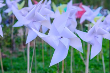 Parktaki Plastik Beyaz Yaban Değirmeni, Chiangmai Eyaleti.