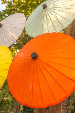 Tayland ana şemsiyesinin arka planı, Tayland.