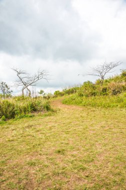 Chiangrai, Tayland 'daki Phu Chi Fa Dağı manzarası.