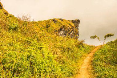 Chiangrai, Tayland 'daki Phu Chi Fa Dağı manzarası.