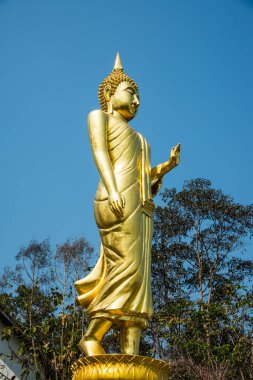 Phra 'da yürüyen altın Buda heykeli. Khao Noi tapınağı, Tayland.