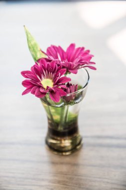 Tahta masadaki küçük çiçekler, Tayland