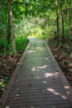 Phu Sang, Tayland 'da doğa yolu..