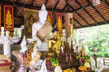 Thai Lanna Buddha Pha Lat Tapınağı, Tayland.