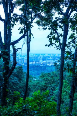 Ağaç önplanlı Chiangmai şehri manzarası, Tayland.