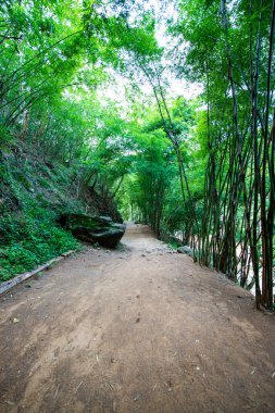 Ob Luang Ulusal Parkı 'ndaki Doğal Yol, Chiangmai.