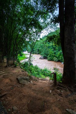 Ob Luang Ulusal Parkı, Chiangmai Eyaleti, Tayland.