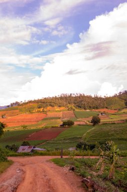 Chiang Mai, Tayland 'da Mae Chaem bölgesinin dağ manzaralı tarım alanı.