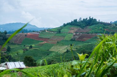 Tayland, Tayland 'da doğal manzara.