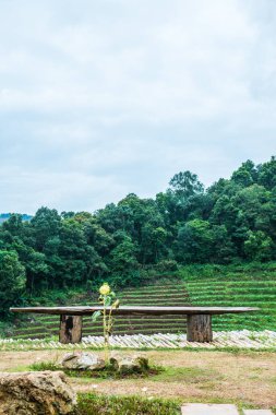 Tayland manzarası için dağdaki ahşap bank.