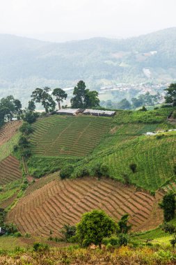Tayland, Tayland ve Tayland 'da doğal manzara..