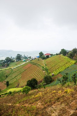 Tayland, Tayland ve Tayland 'da doğal manzara..