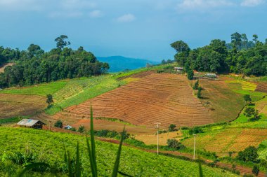 Tayland, Tayland 'da doğal manzara.