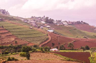 Tayland, Tayland 'da doğal manzara.