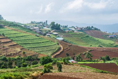 Tayland, Tayland 'da doğal manzara.