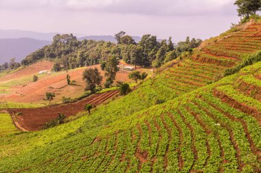 Tayland, Tayland 'da doğal manzara.
