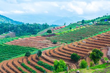 Tayland, Tayland 'da doğal manzara.