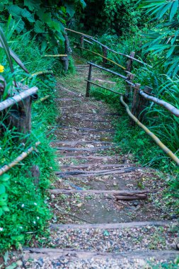 Tayland, Tayland 'da bambu raylı ahşap merdivenler