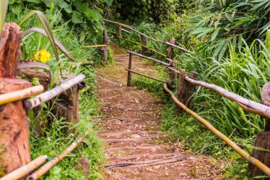 Tayland, Tayland 'da bambu raylı ahşap merdivenler