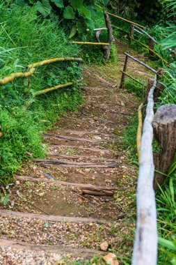 Tayland, Tayland 'da bambu raylı ahşap merdivenler