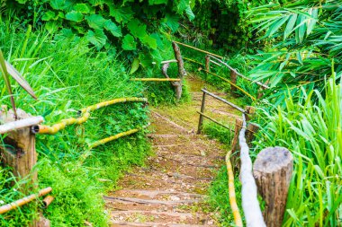Tayland, Tayland 'da bambu raylı ahşap merdivenler