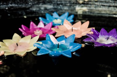 Lotus mum su, Tayland