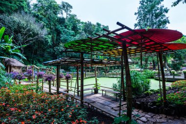 Mae Fah Luang bahçesinin manzarası, Tayland.