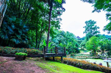 Mae Fah Luang bahçesinin manzarası, Tayland.