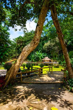 Chiang Rai bölgesindeki Mae Fah Luang Bahçesi, Tayland.