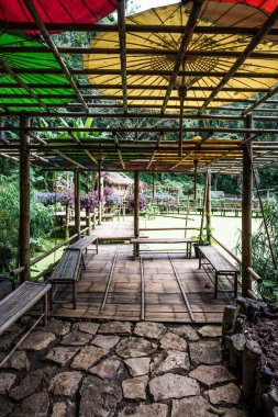 Mae Fah Luang Bahçesi Bambu Yolu, Tayland.