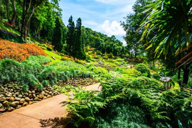 Chiang Rai bölgesindeki Mae Fah Luang Bahçesi, Tayland.