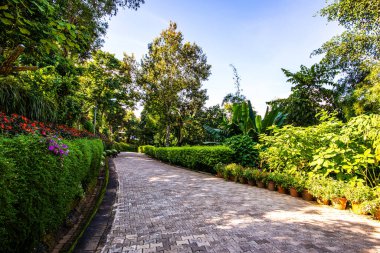 Chiang Rai bölgesindeki Doi Tung Kraliyet Konağı 'nda güzel bir park..