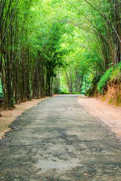 Ob Luang Ulusal Parkı, Tayland.