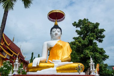 Nong Ap Chang tapınağındaki Beyaz Buda, Tayland.