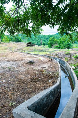 Tayland 'ın Chiangmai eyaletinde beton oluğu olan dağda tarım alanı..