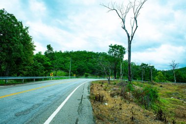 Tayland 'ın Chiangmai eyaletinde yolu olan dağda tarım alanı..