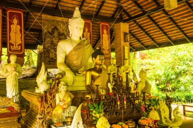 Thai Lanna Buddha Pha Lat Tapınağı, Tayland.