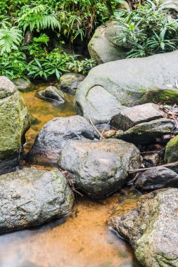 Doğal Park, Tayland 'da Wang Bua Ban şelalesinde su akışı.