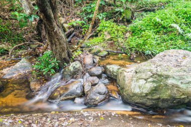 Doğal Park, Tayland 'da Wang Bua Ban şelalesinde su akışı.