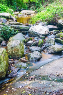 Doğal Park, Tayland 'da Wang Bua Ban şelalesinde su akışı.
