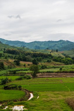 Chiang Rai Eyaleti, Tayland Doğal Manzarası.