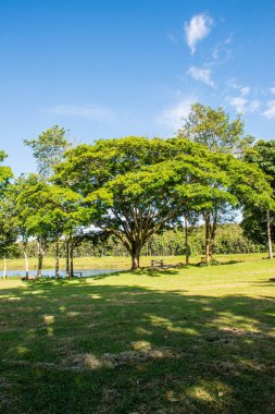 Mae Puem Ulusal Parkı, Tayland Manzarası.