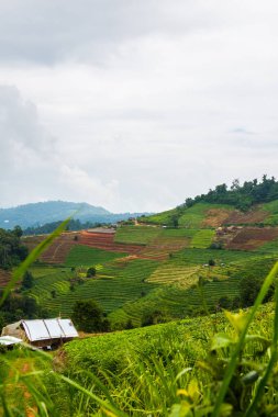 Tayland, Tayland 'da doğal manzara.